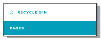 RecBin